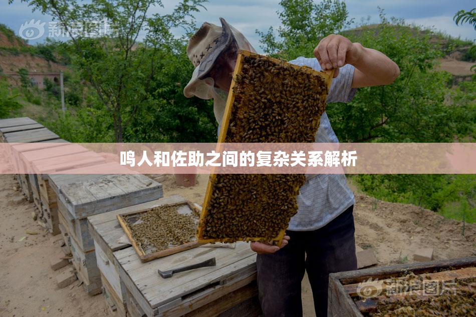 鸣人和佐助之间的复杂关系解析