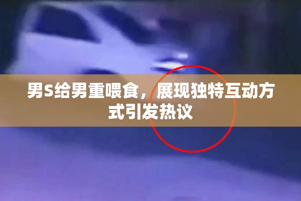 男S给男重喂食，展现独特互动方式引发热议