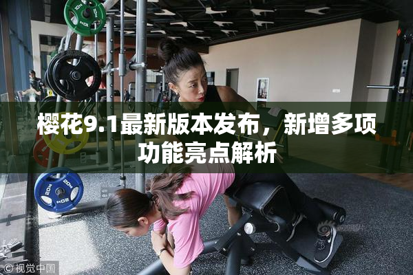 樱花9.1最新版本发布，新增多项功能亮点解析
