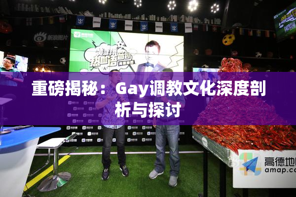 重磅揭秘：Gay调教文化深度剖析与探讨
