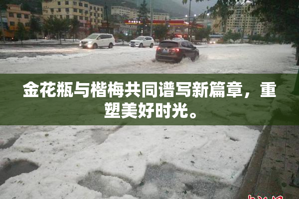 金花瓶与楷梅共同谱写新篇章，重塑美好时光。