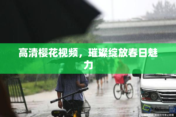 高清樱花视频，璀璨绽放春日魅力