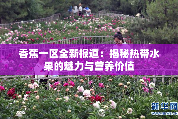 香蕉一区全新报道：揭秘热带水果的魅力与营养价值
