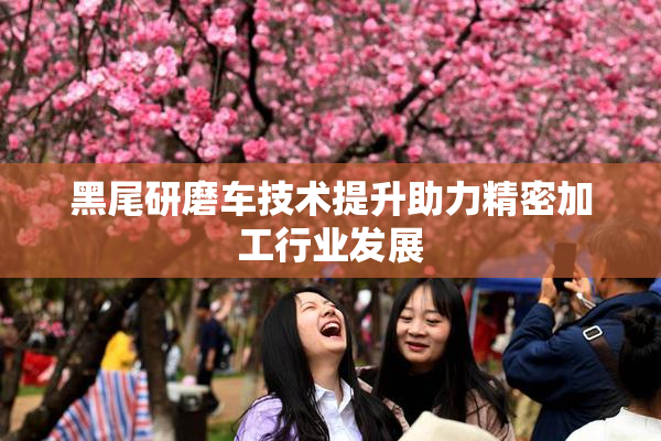 黑尾研磨车技术提升助力精密加工行业发展