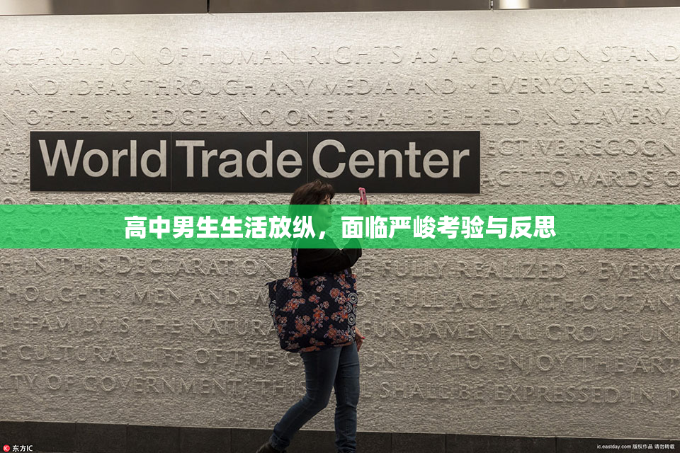 高中男生生活放纵，面临严峻考验与反思