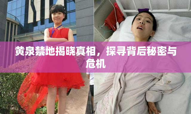 黄泉禁地揭晓真相，探寻背后秘密与危机