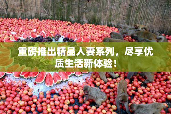 重磅推出精品人妻系列，尽享优质生活新体验！