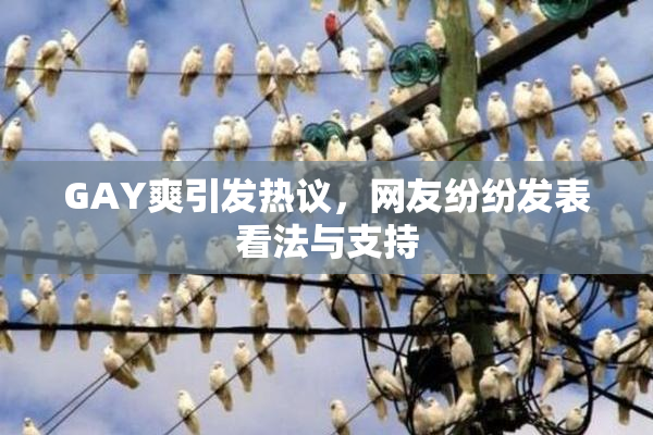 GAY爽引发热议，网友纷纷发表看法与支持
