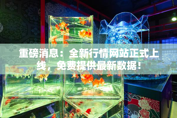 重磅消息：全新行情网站正式上线，免费提供最新数据！