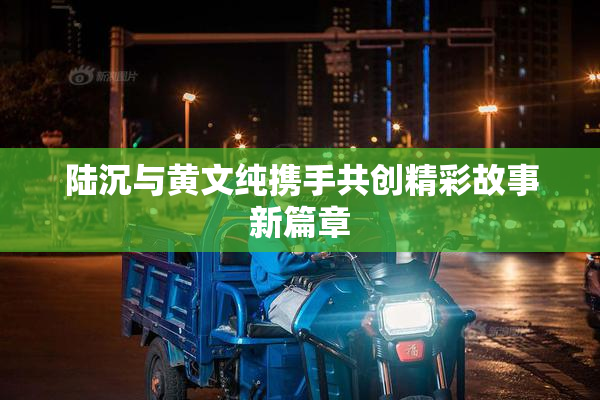 陆沉与黄文纯携手共创精彩故事新篇章