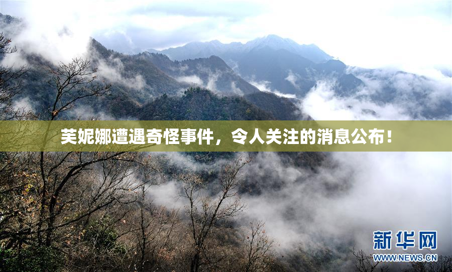 芙妮娜遭遇奇怪事件，令人关注的消息公布！