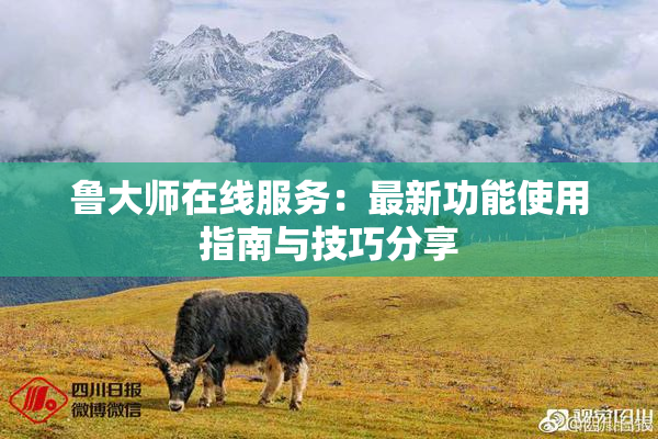 鲁大师在线服务：最新功能使用指南与技巧分享