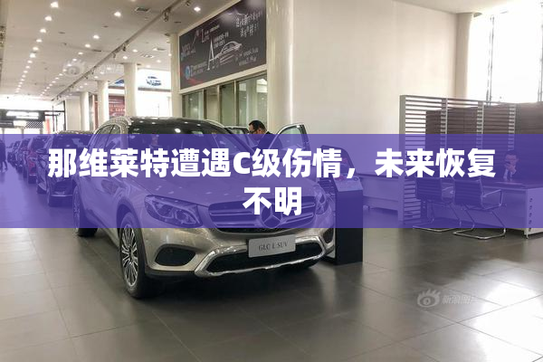 那维莱特遭遇C级伤情，未来恢复不明