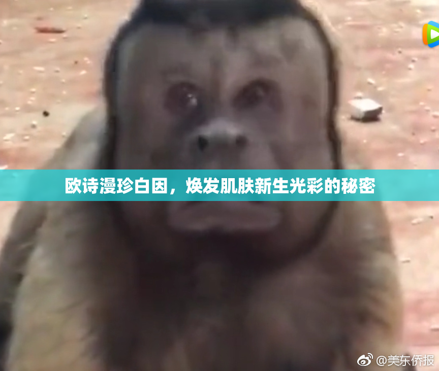 欧诗漫珍白因，焕发肌肤新生光彩的秘密