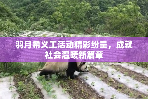 羽月希义工活动精彩纷呈，成就社会温暖新篇章