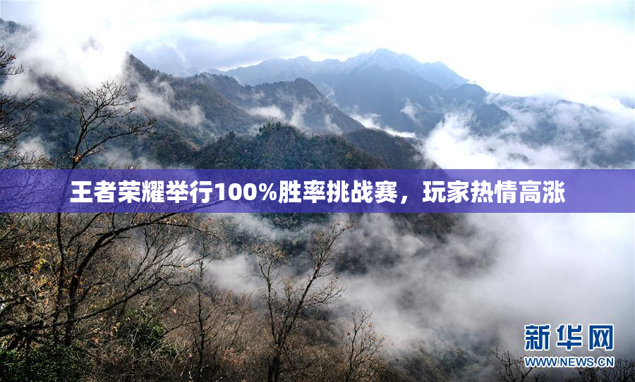 王者荣耀举行100%胜率挑战赛，玩家热情高涨