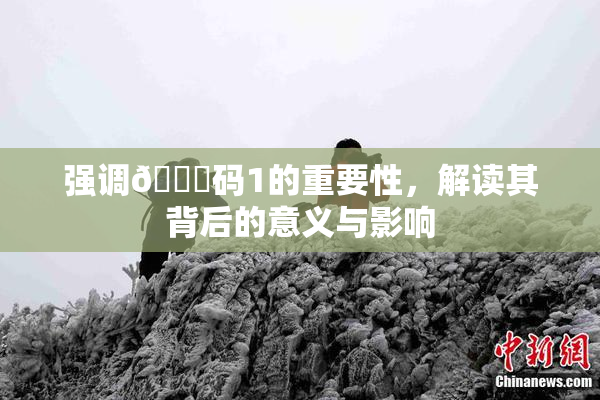 强调🈚码1的重要性，解读其背后的意义与影响