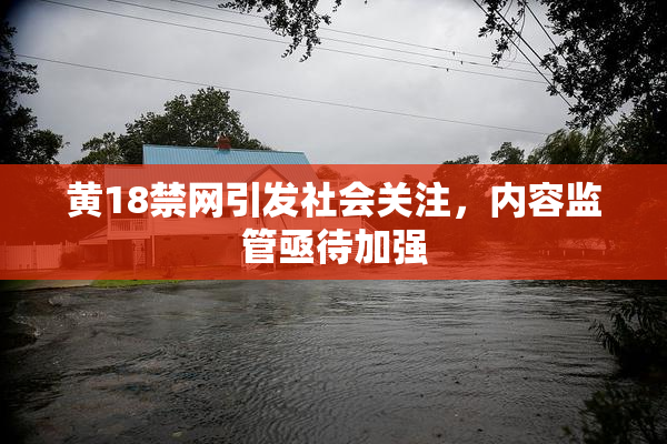 黄18禁网引发社会关注，内容监管亟待加强