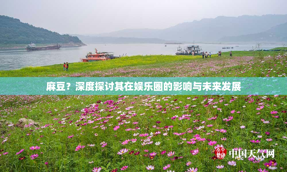 麻豆？深度探讨其在娱乐圈的影响与未来发展