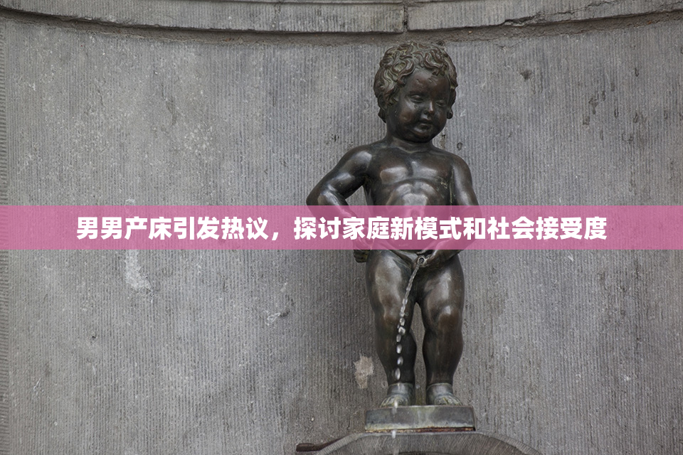 男男产床引发热议，探讨家庭新模式和社会接受度