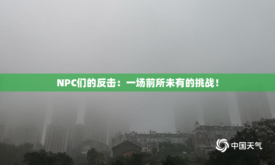 NPC们的反击：一场前所未有的挑战！