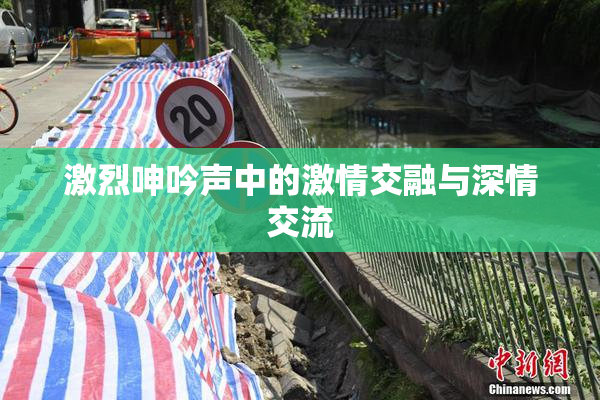 激烈呻吟声中的激情交融与深情交流