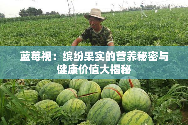 蓝莓视：缤纷果实的营养秘密与健康价值大揭秘