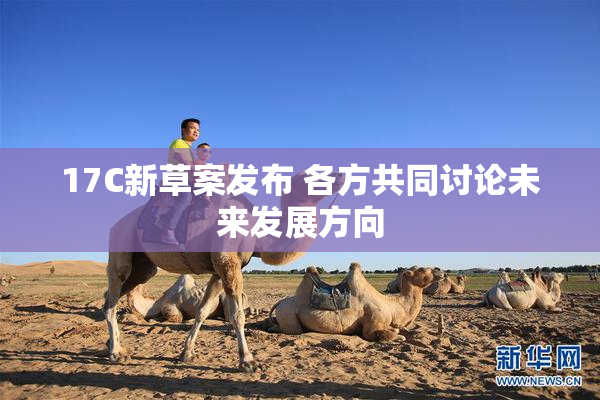 17C新草案发布 各方共同讨论未来发展方向