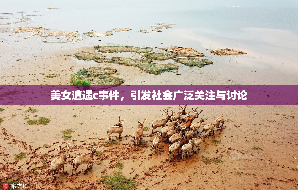 美女遭遇c事件，引发社会广泛关注与讨论