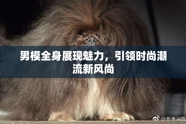 男模全身展现魅力，引领时尚潮流新风尚