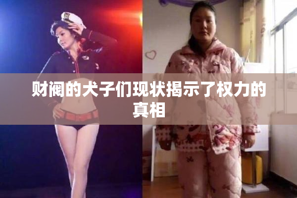 财阀的犬子们现状揭示了权力的真相