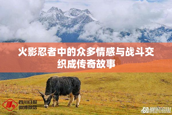 火影忍者中的众多情感与战斗交织成传奇故事