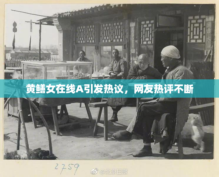 黄鳝女在线A引发热议，网友热评不断