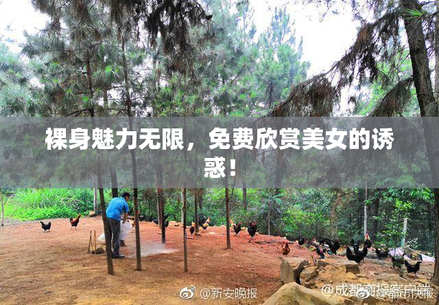 裸身魅力无限，免费欣赏美女的诱惑！