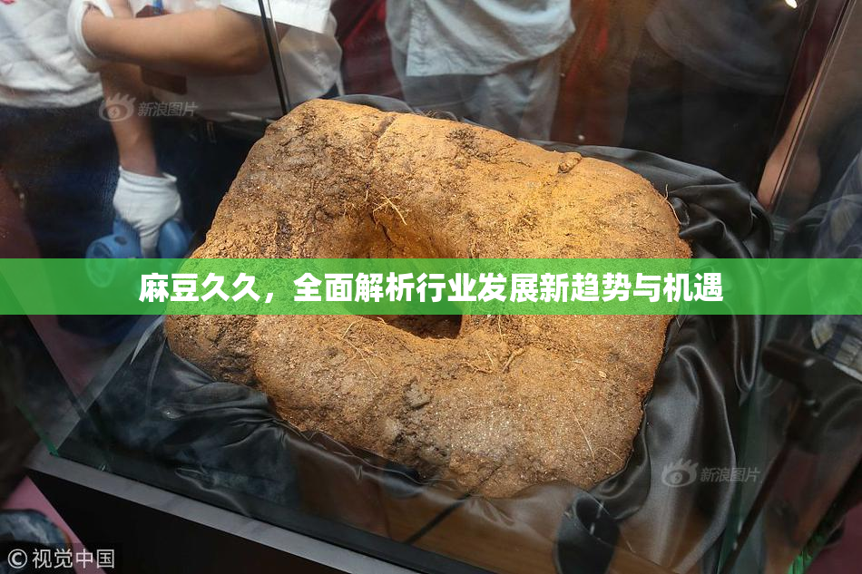 麻豆久久，全面解析行业发展新趋势与机遇