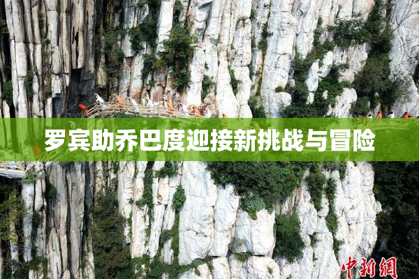 罗宾助乔巴度迎接新挑战与冒险