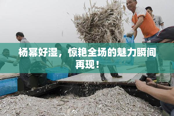 杨幂好湿，惊艳全场的魅力瞬间再现！