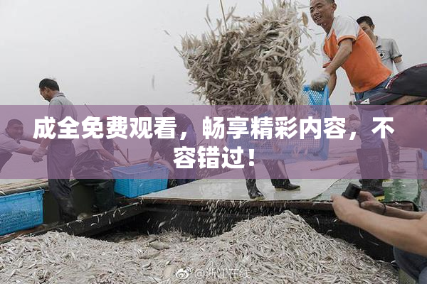 成全免费观看，畅享精彩内容，不容错过！