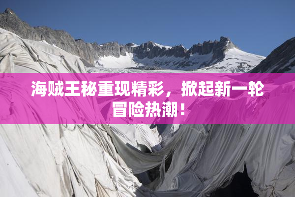 海贼王秘重现精彩，掀起新一轮冒险热潮！