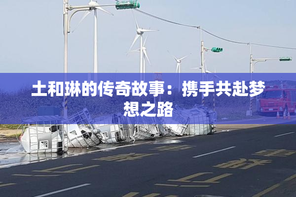 土和琳的传奇故事：携手共赴梦想之路