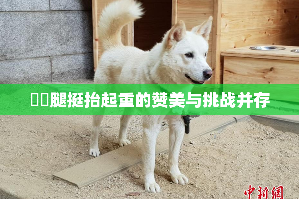 妺妺腿挺抬起重的赞美与挑战并存