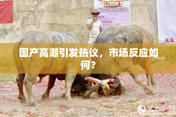 国产高潮引发热议，市场反应如何？