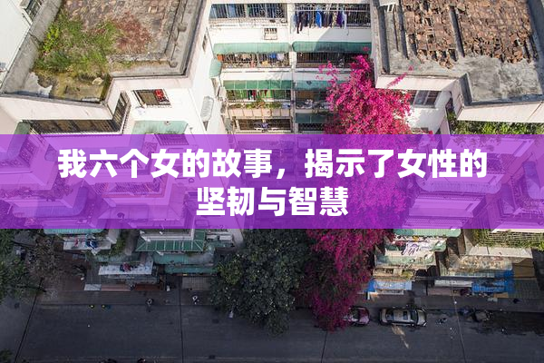 我六个女的故事，揭示了女性的坚韧与智慧