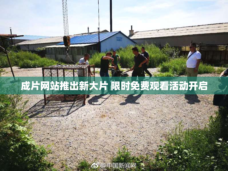 成片网站推出新大片 限时免费观看活动开启