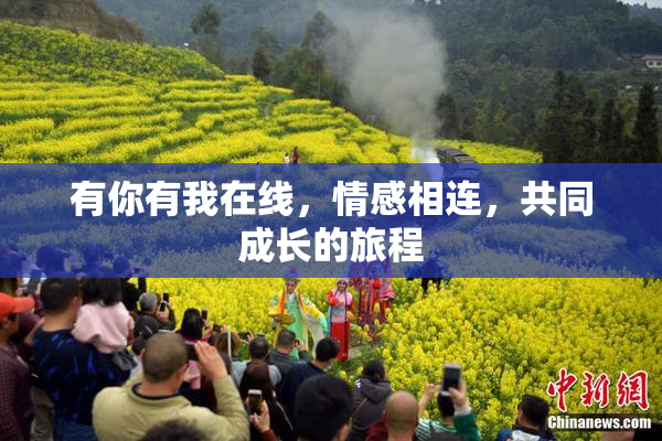 有你有我在线，情感相连，共同成长的旅程