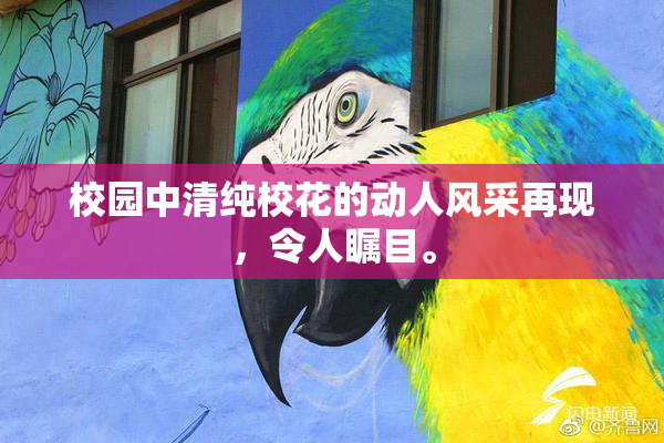 校园中清纯校花的动人风采再现，令人瞩目。