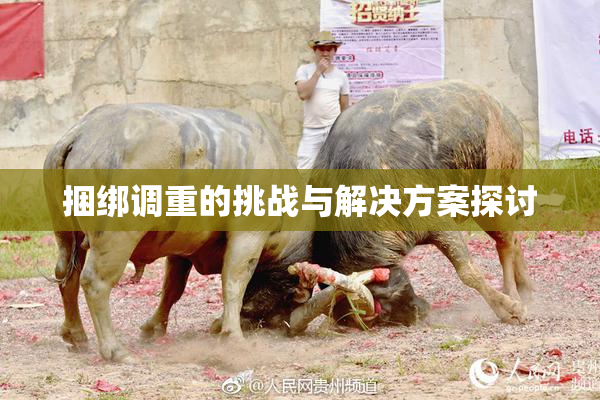 捆绑调重的挑战与解决方案探讨