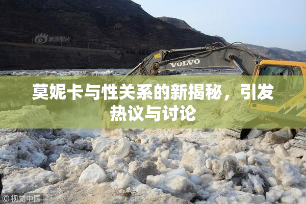 莫妮卡与性关系的新揭秘，引发热议与讨论