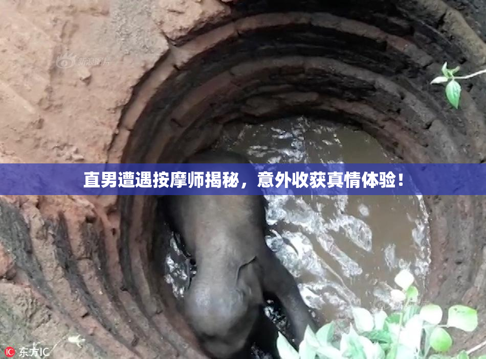 直男遭遇按摩师揭秘，意外收获真情体验！