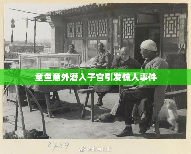 章鱼意外潜入子宫引发惊人事件